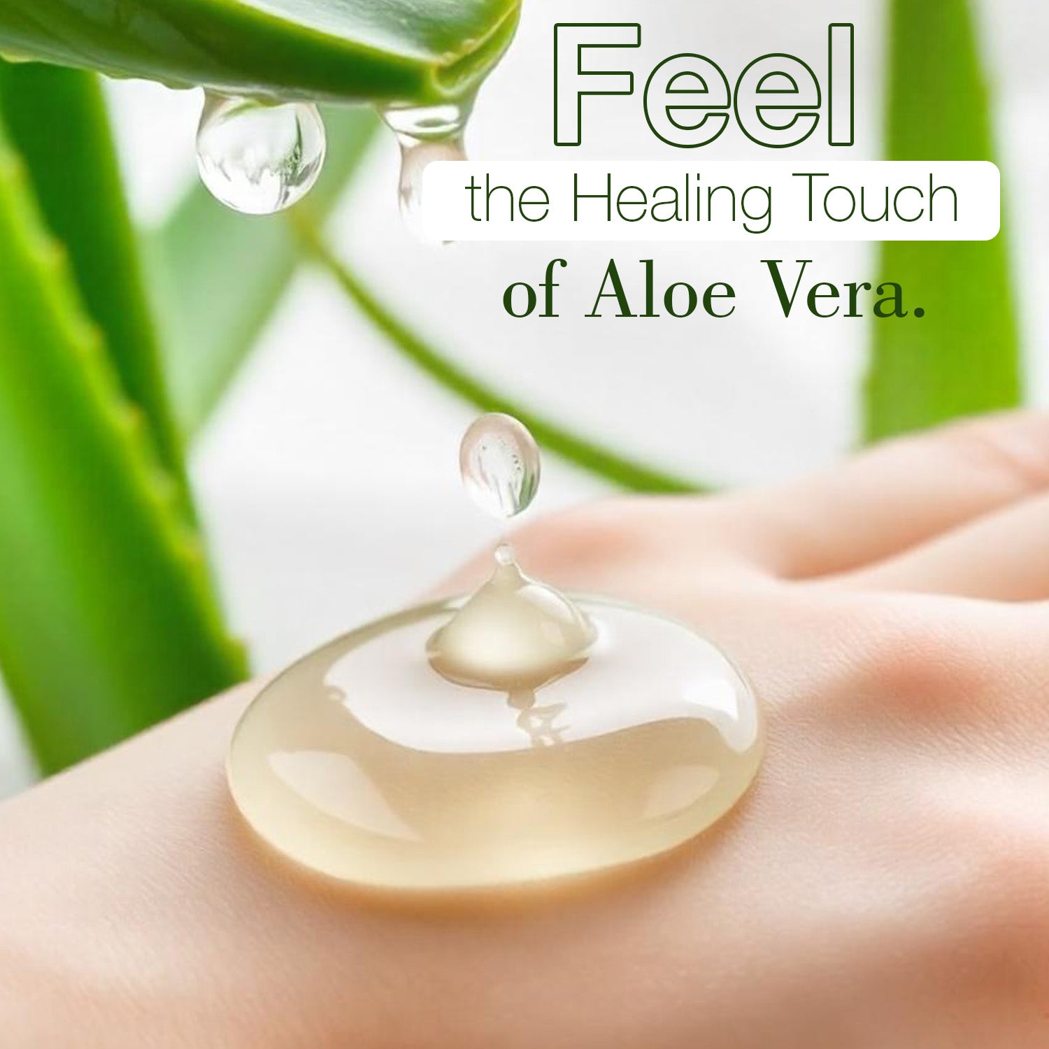 Aloevera Gel ( Enriched with geranium extract and Vitamin-E)